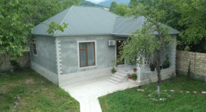 Gabala rent House